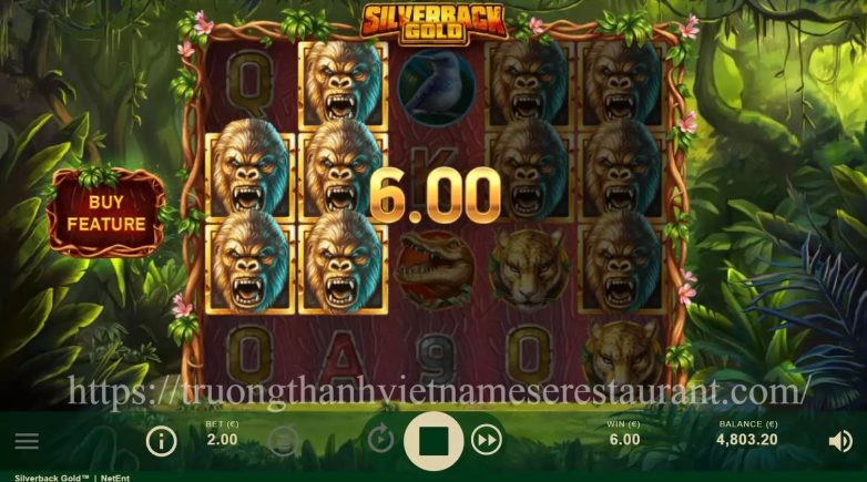 https://truongthanhvietnameserestaurant.com/